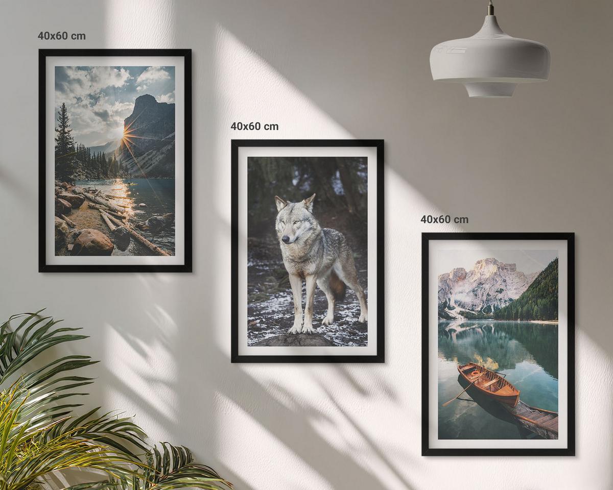BILDER SET 3er Set - 40x60 cm Schwarzer Rahmen - Berge, Seen, Wölfe, Natur - Schwarz, Kunststoff (40/60cm) - TULUP