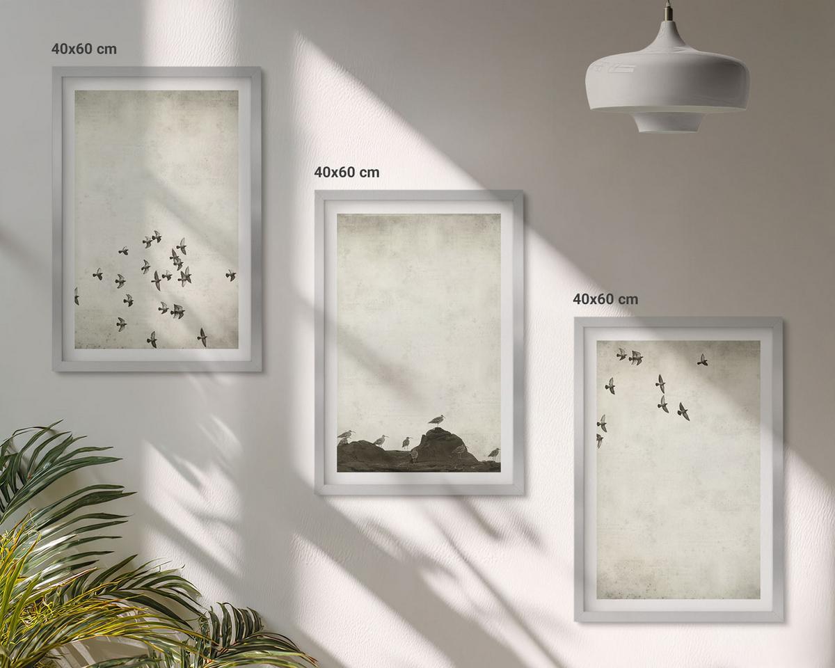 BILDER SET 3er Set - 40x60 cm Silberner Rahmen - Vögel im Flug, minimalistischer Stil - Silberfarben, Kunststoff (40/60cm) - TULUP