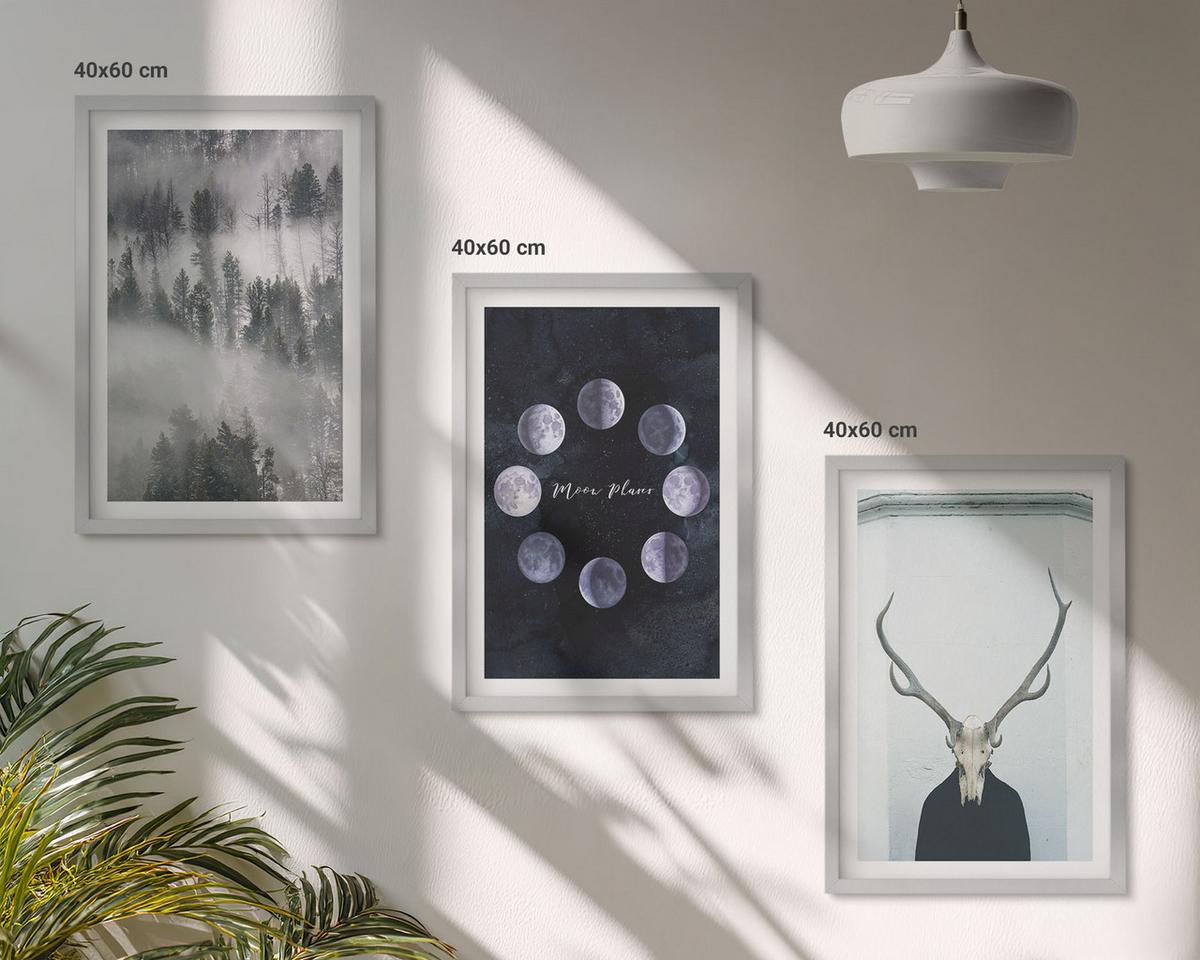 BILDER SET 3er Set - 40x60 cm Silberner Rahmen - Waldlandschaft, Nebel, Mond, Hirschschädel - Silberfarben, Kunststoff (40/60cm) - TULUP