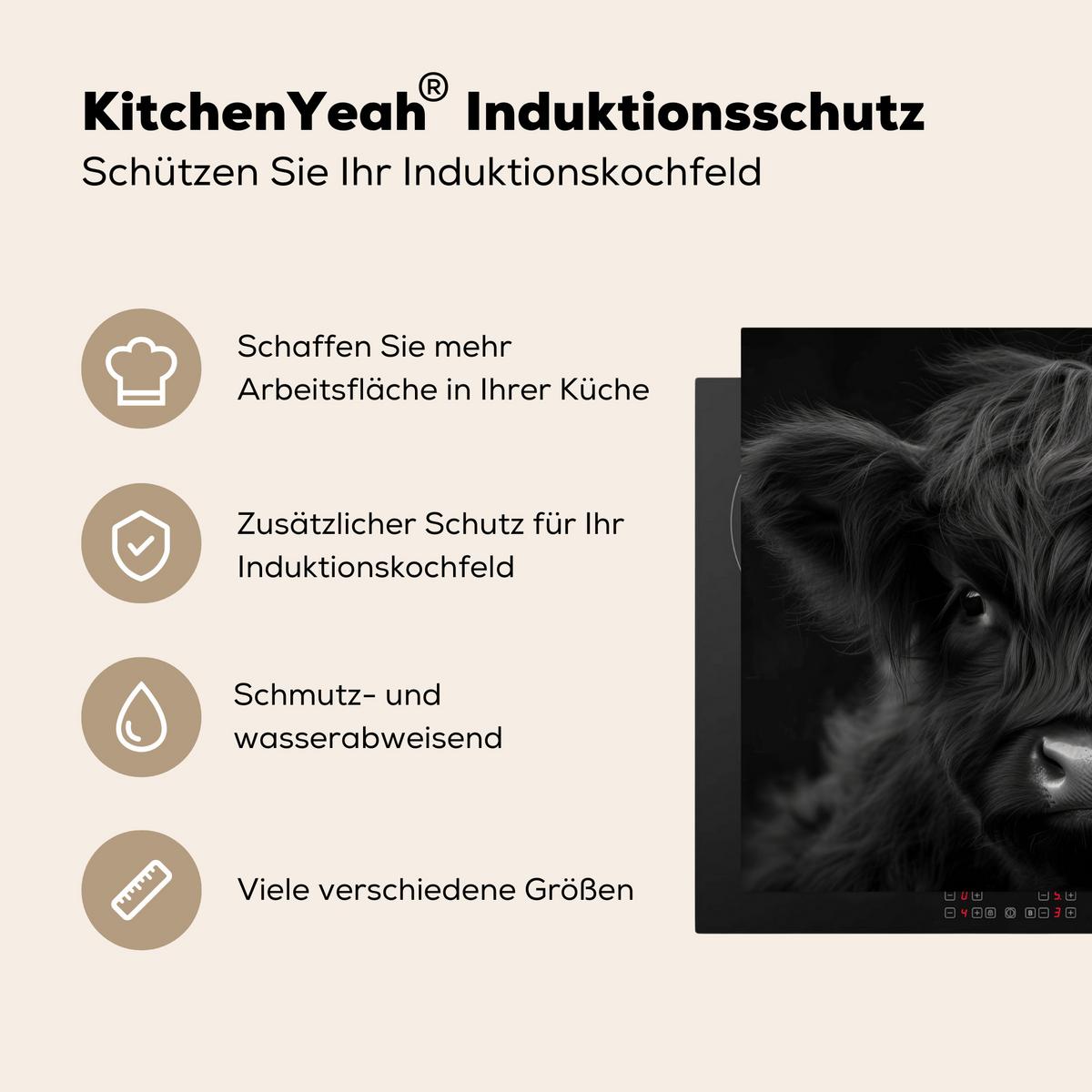 HERDABDECKPLATTE Scottish Highlander - Schwarz - Kalb - Kuh Herdabdeckung Induktionsfeld 65x52 cm - Schwarz, Kunststoff (65/52/0.2cm) - MuchoWow