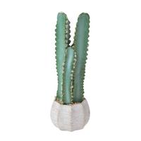 KUNSTPFLANZE Kaktus im Deko-Topf, 49 cm - Grün, Kunststoff (49cm) - Homescapes