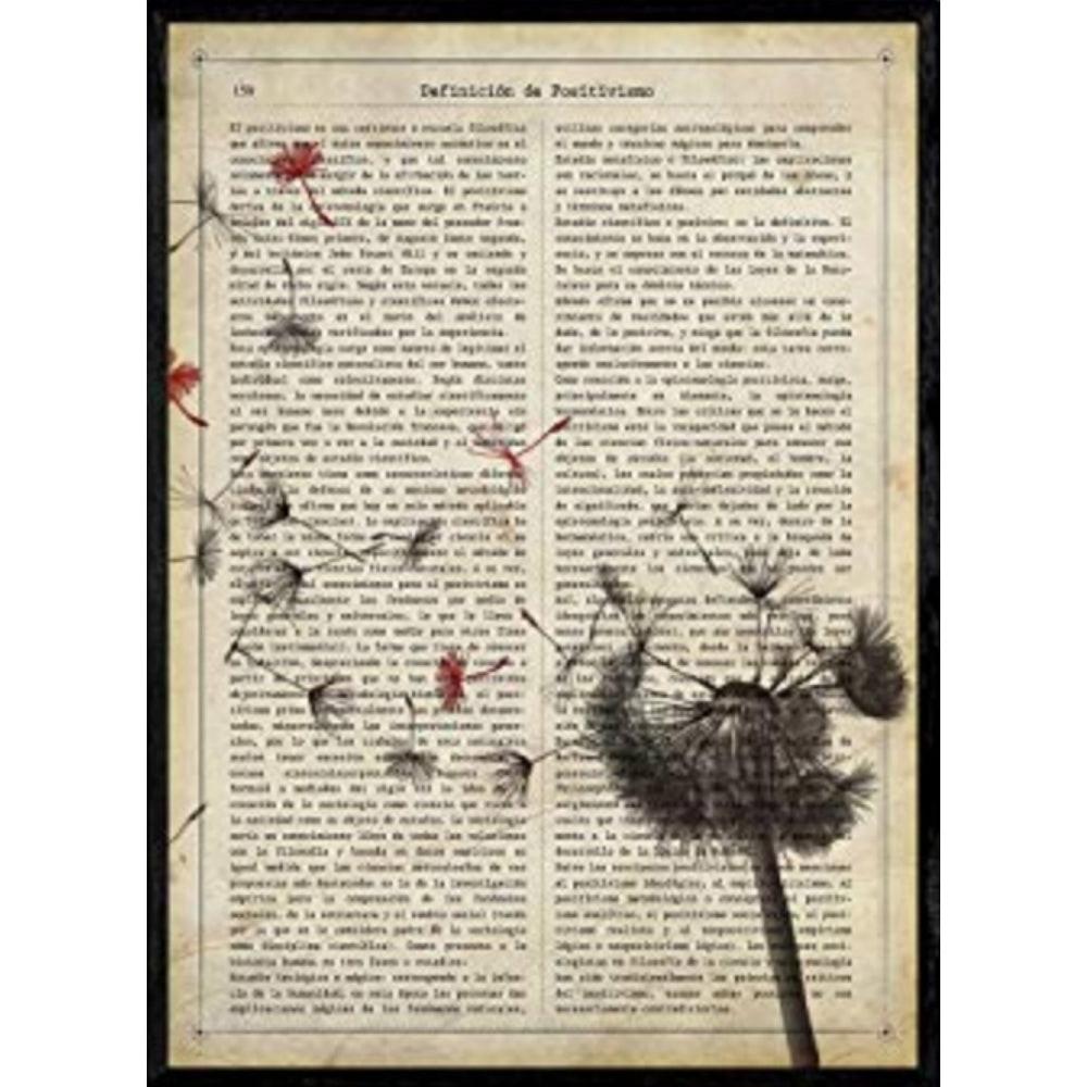 POSTER Löwenzahn A4 Rahmenlos - Klar, Papier (29.7/5/21cm) - Nacnic