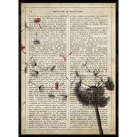 POSTER Löwenzahn A4 Rahmenlos - Klar, Papier (29.7/5/21cm) - Nacnic