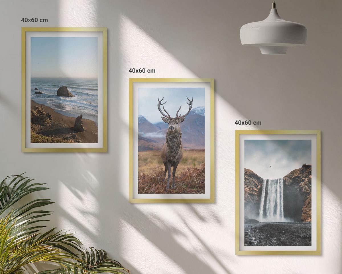BILDER SET 3er Set - 40x60 cm Goldrahmen - Berglandschaften mit einem Wasserfall - Goldfarben, Kunststoff (40/60cm) - TULUP