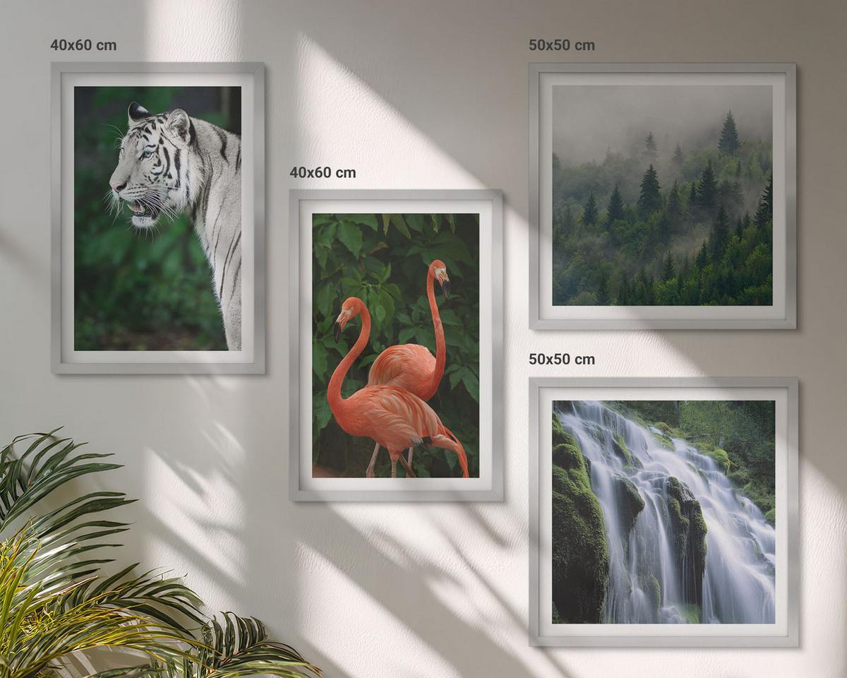 BILDER SET 4er Set - 50x50 cm & 40x60 cm Silberner Rahmen - Tiger Wasserfall Flamingos Natur - Silberfarben, Kunststoff (50/50cm) - TULUP