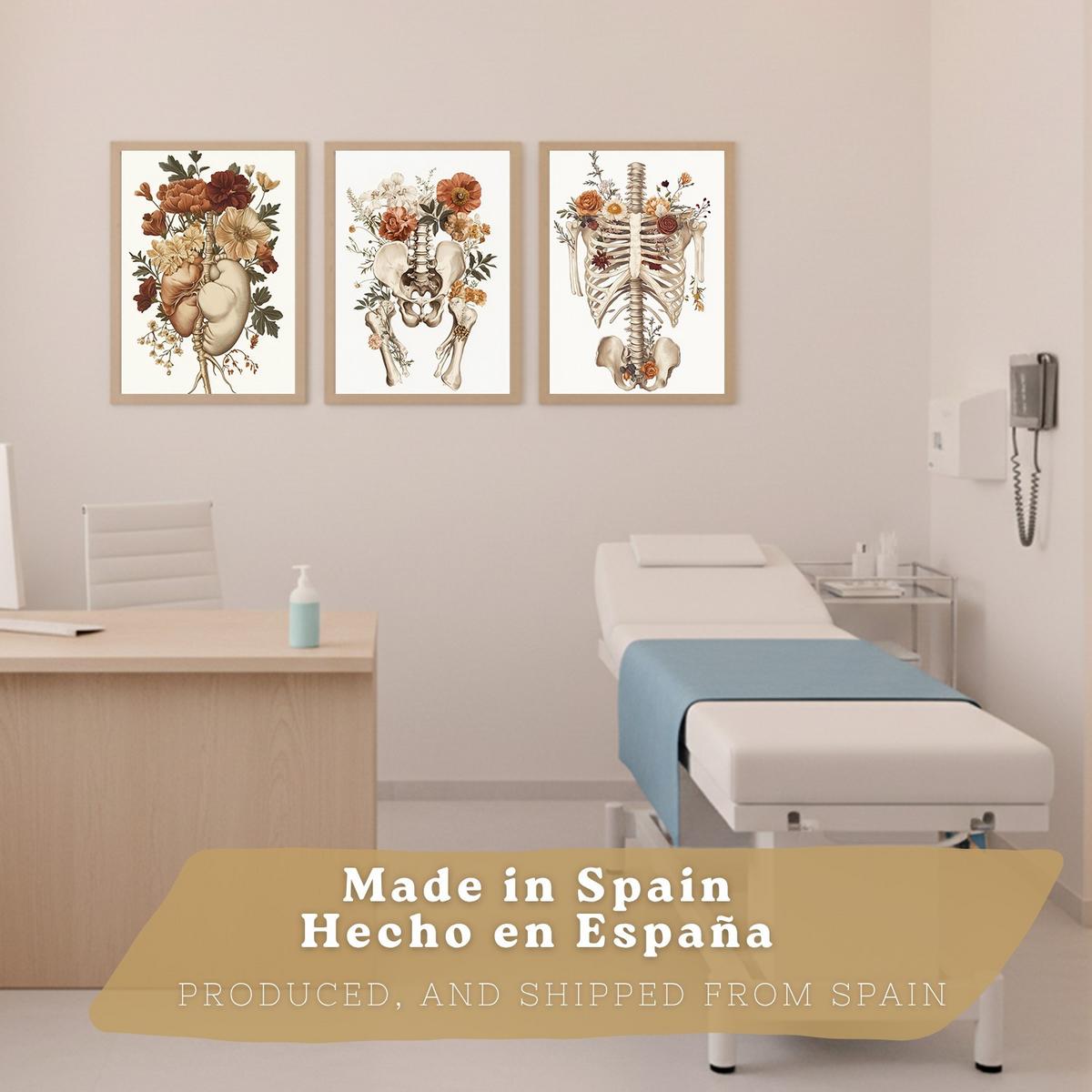 POSTER Set aus 3 Anatomie Mensch Florale Vintage Drucke und Wandbilder mit Herz Brustkorb und Becken Wanddekoration Größe Leichter Holzrahmen A3 - Beige, Papier (29.7/42/3cm) - Nacnic