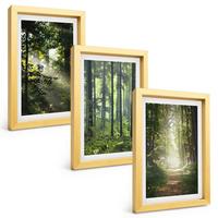 BILDER SET 3er Set - 20x30 cm Goldrahmen - Grüne Wälder mit Lichtstrahlen - Goldfarben, Kunststoff (20/30cm) - TULUP