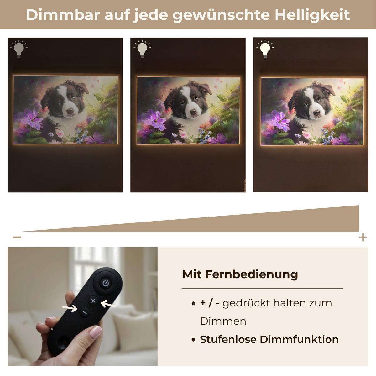 WANDLEUCHTE MIT AKKU Welpe - Sonne - Blumen - Natur - Border Collie - Hund 90x60 cm - Violett, Holzwerkstoff (90/60/8cm) - OnlyWow