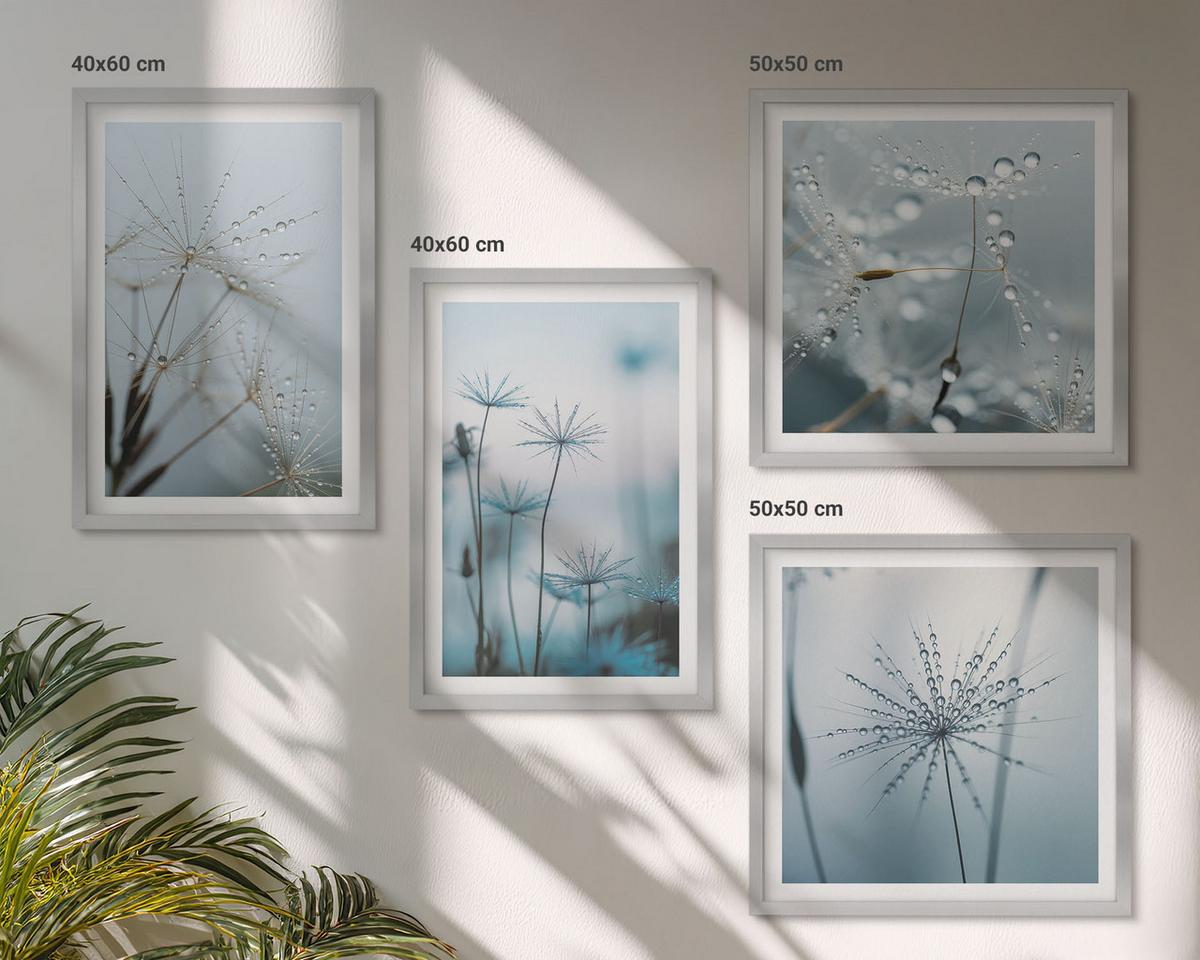 BILDER SET 4er Set - 50x50 cm & 40x60 cm Silberner Rahmen - Löwenzahn-Wassertropfen - Silberfarben, Kunststoff (50/50cm) - TULUP