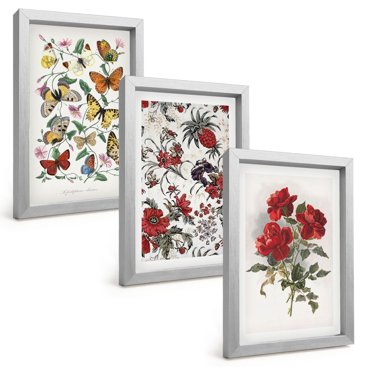 BILDER SET 3er Set - 20x30 cm Silberner Rahmen - Schmetterlinge, Blumen, rote Rosen - Silberfarben, Kunststoff (20/30cm) - TULUP