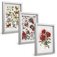 BILDER SET 3er Set - 20x30 cm Silberner Rahmen - Schmetterlinge, Blumen, rote Rosen - Silberfarben, Kunststoff (20/30cm) - TULUP