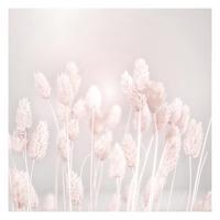 FOTOTAPETE Helles Gras im Sonnenlicht 192/192 cm - Eichefarben, Papier (192/192cm) - Bilderwelten