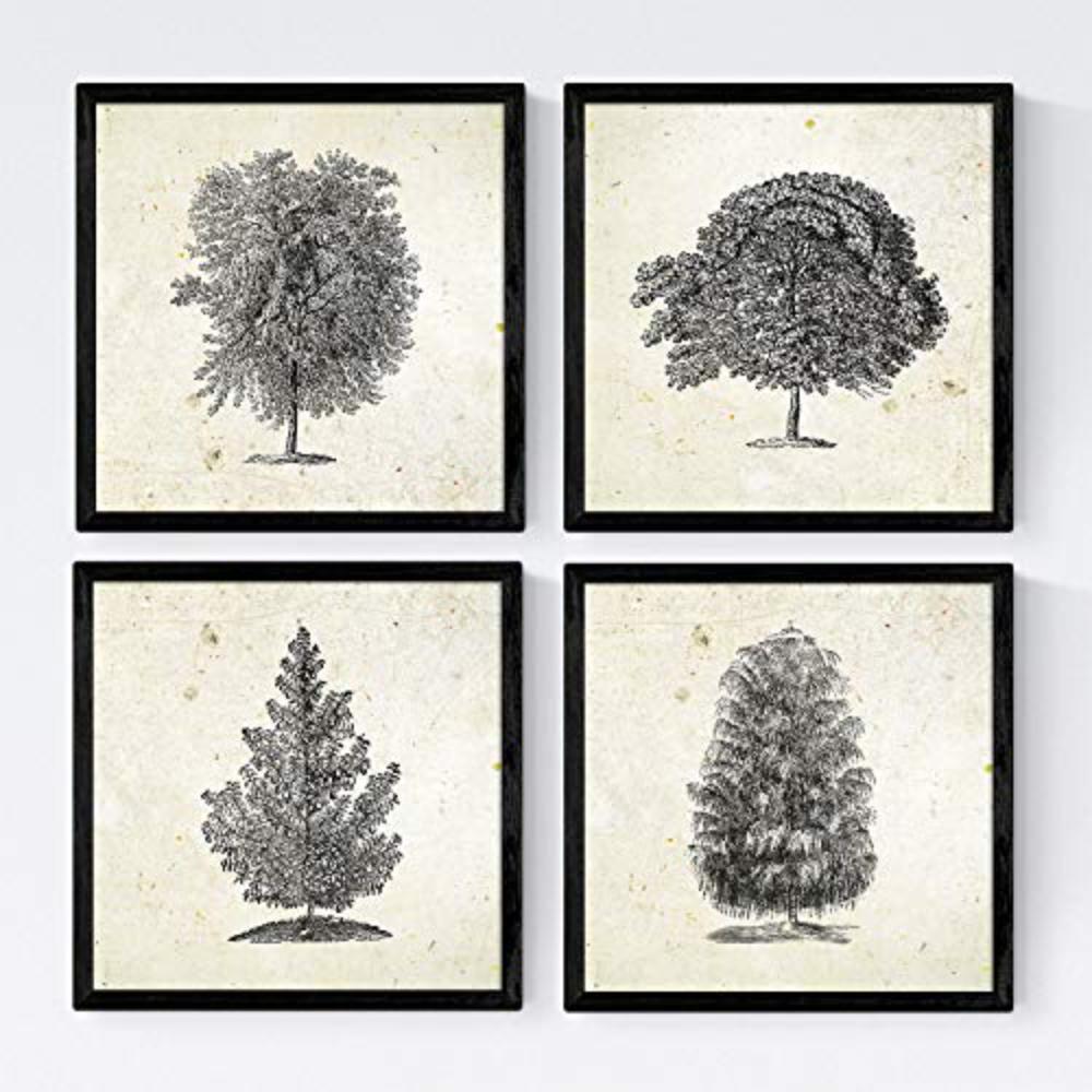 POSTER Set mit 4 Blättern der Baumstamm in halben alten Papierhintergrund 20x20cm Schwarzer Rahmen - Schwarz, Papier (20/3cm) - Nacnic
