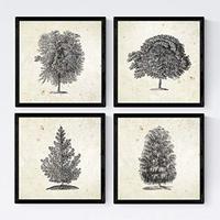 POSTER Set mit 4 Blättern der Baumstamm in halben alten Papierhintergrund 20x20cm Schwarzer Rahmen - Schwarz, Papier (20/3cm) - Nacnic