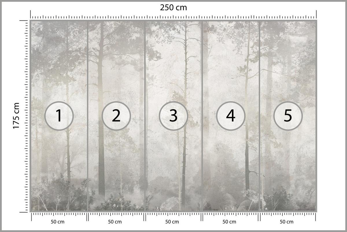 FOTOTAPETE für Wohnzimmer Nebliger Wald Vintage Bäume 250x175 - Beige/Grau, Papier (250/175cm) - Muralo