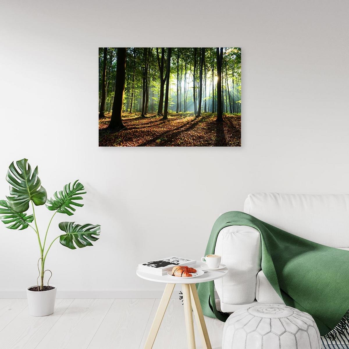 LEINWANDBILD Wald bei Sonnenaufgang 90x60cm - Grün, Textil (90/60cm) - Feeby