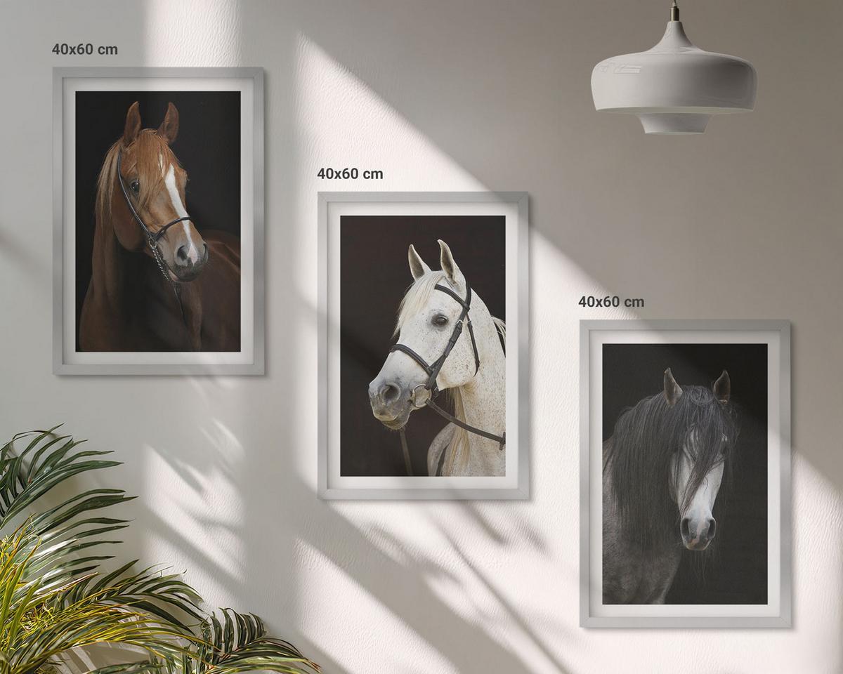 BILDER SET 3er Set - 40x60 cm Silberner Rahmen - Porträts von Pferden in verschiedenen Fellfarben - Silberfarben, Kunststoff (40/60cm) - TULUP