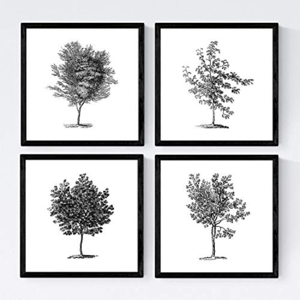 POSTER Set mit 4 Blättern der Grove, weiß 20x20cm Rahmenlos - Klar, Papier (20/3cm) - Nacnic