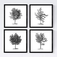 POSTER Set mit 4 Blättern der Grove, weiß 20x20cm Rahmenlos - Klar, Papier (20/3cm) - Nacnic