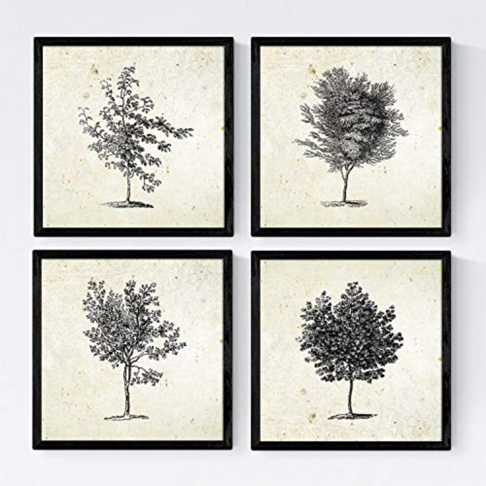 POSTER Set mit 4 Blättern der Grove Jahrgang Hintergrund 20x20cm Schwarzer Rahmen - Schwarz, Papier (20/3cm) - Nacnic