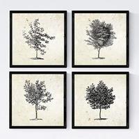 POSTER Set mit 4 Blättern der Grove Jahrgang Hintergrund 20x20cm Schwarzer Rahmen - Schwarz, Papier (20/3cm) - Nacnic