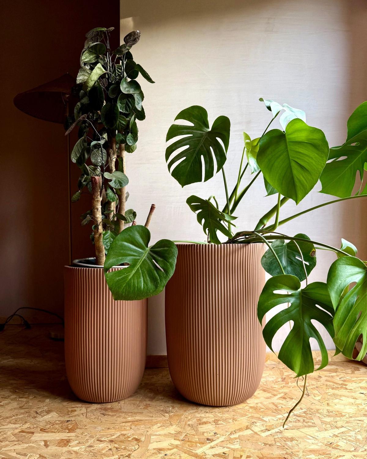 BLUMENKÜBEL Braun Eantio - Braun, Keramik (56cm) - Beliani