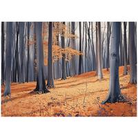 FOTOTAPETE Wald Bäume Natur Vlies Tapete Wohnzimmer 200x140 - Multicolor, Papier (200/140cm) - Wallarena