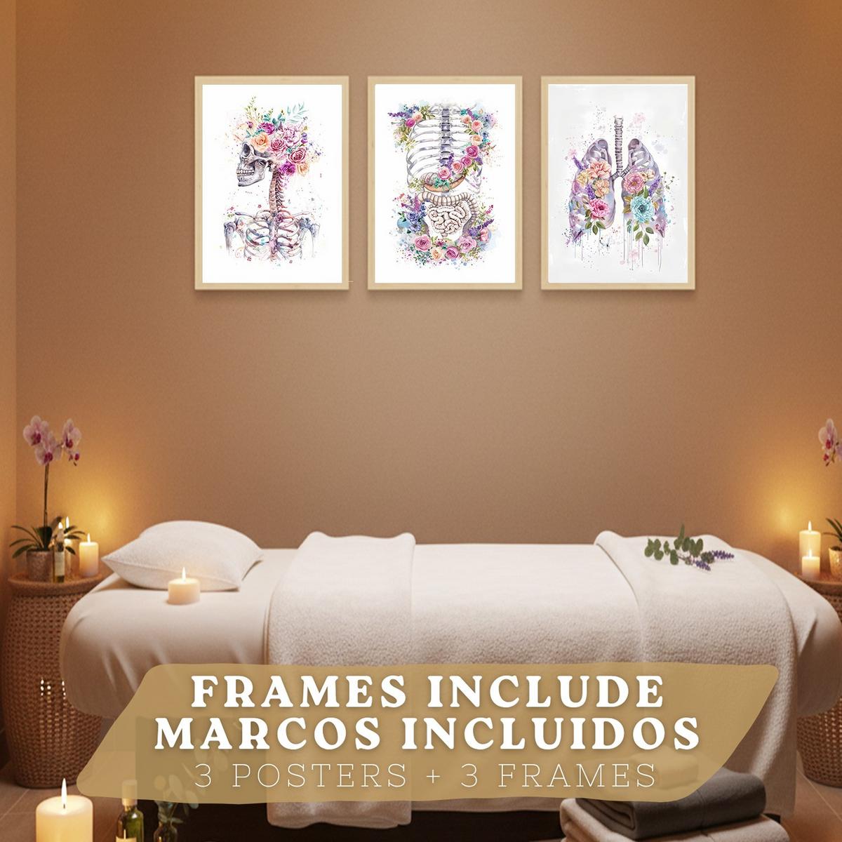 POSTER Set aus 3 Anatomie Drucke mit Skelett Schädel Wirbelsäule Rippen Lungen und Verdauungssystem Künstlerischer Größe Leichter Holzrahmen A3 - Beige, Papier (29.7/42/3cm) - Nacnic