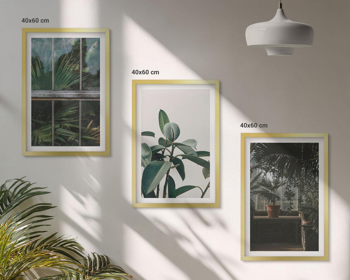 BILDER SET 3er Set - 40x60 cm Goldrahmen - Grüne Blätter an der Fensterpflanze - Goldfarben, Kunststoff (40/60cm) - TULUP