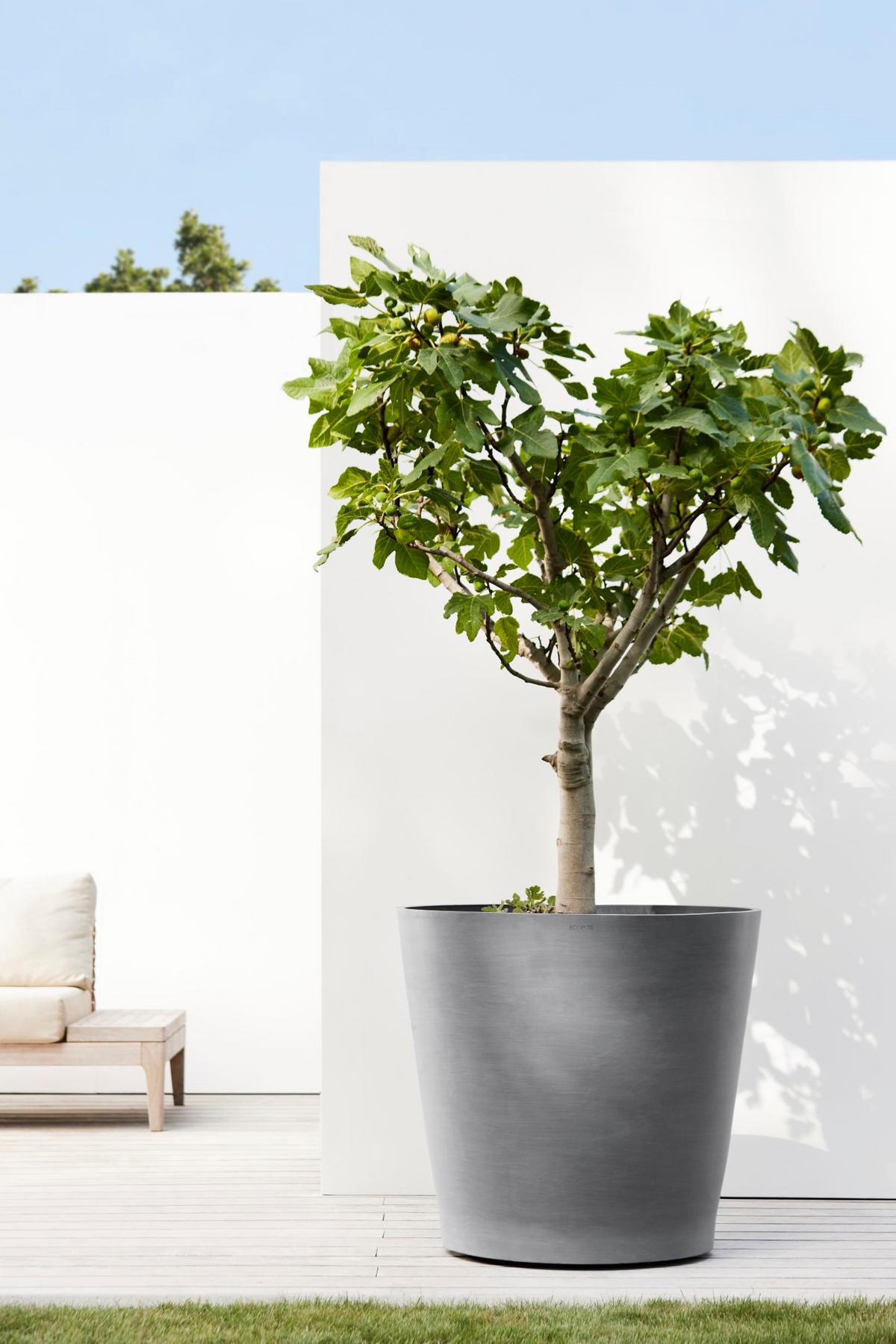 BLUMENTOPF Amsterdam Wheels 80/74,2 cm Grau - Grau, Kunststoff (80/74.2cm) - Ecopots