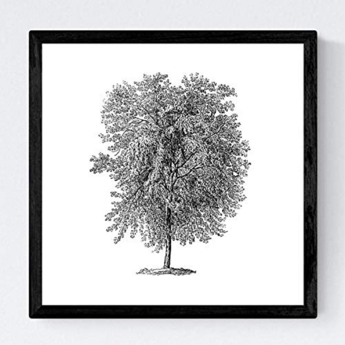 POSTER Set mit 4 Blättern der Baumstamm in halber weiß 20x20cm Schwarzer Rahmen - Schwarz, Papier (20/3cm) - Nacnic