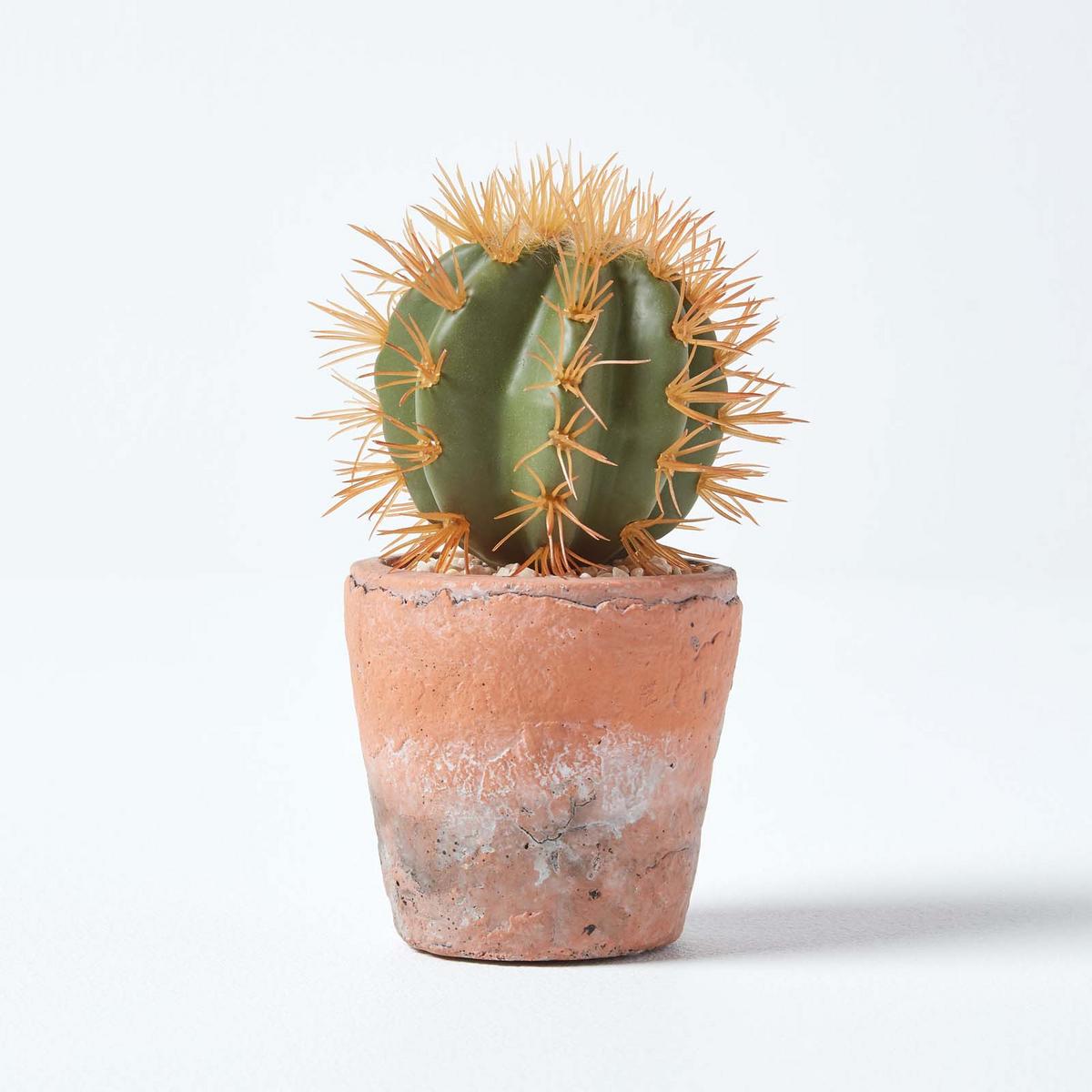 KUNSTPFLANZE Kaktus im Terrakotta-Topf, 15 cm - Grün, Kunststoff (15cm) - Homescapes