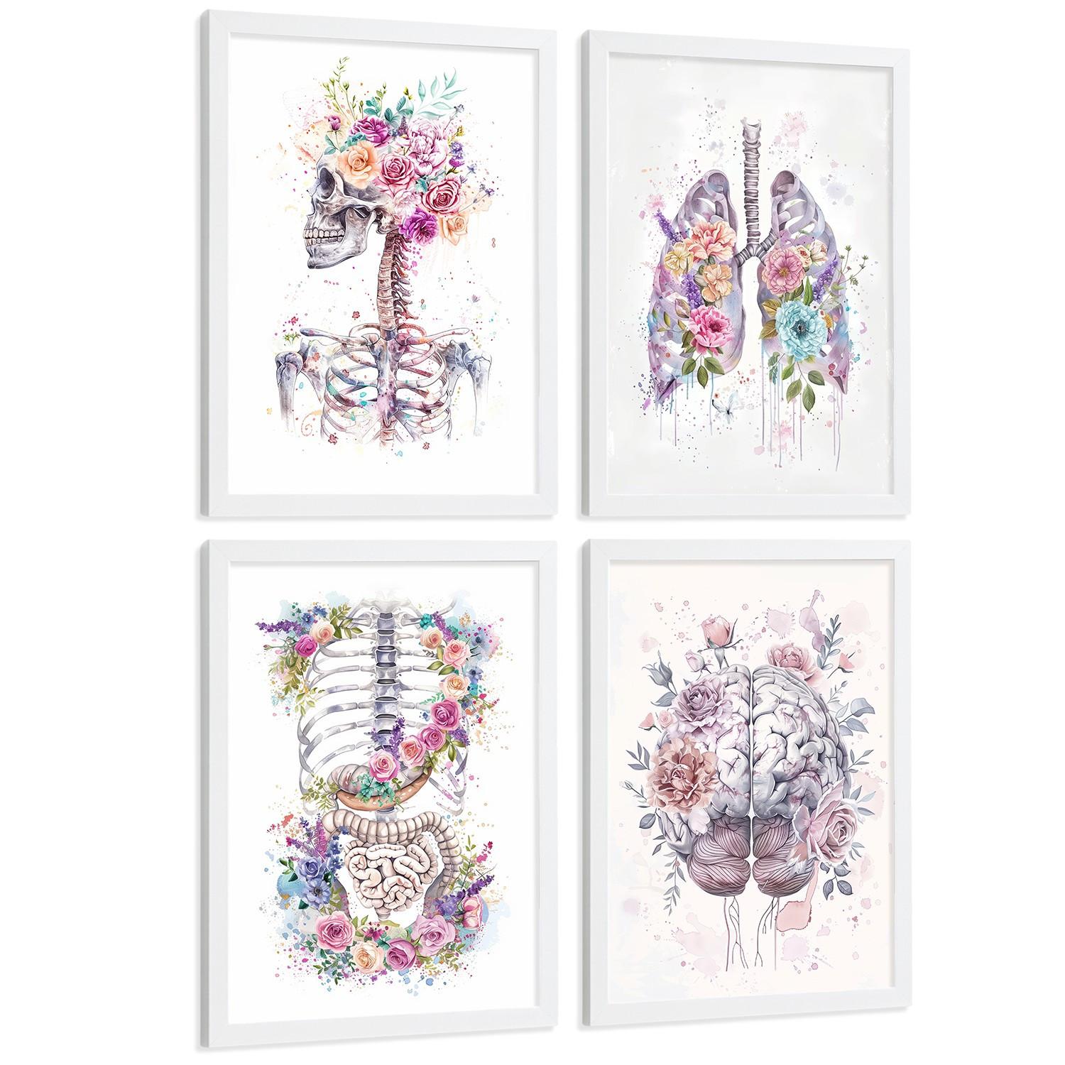 POSTER Set aus 4 Anatomie Mensch Drucke und Wandbilder mit Schädel Lungen Verdauungssystem und Gehirn Florales Aquarell Design Größe Weißer Rahmen A4 - Weiß, Papier (21/29.7/3cm) - Nacnic