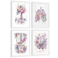 POSTER Set aus 4 Anatomie Mensch Drucke und Wandbilder mit Schädel Lungen Verdauungssystem und Gehirn Florales Aquarell Design Größe Weißer Rahmen A4 - Weiß, Papier (21/29.7/3cm) - Nacnic