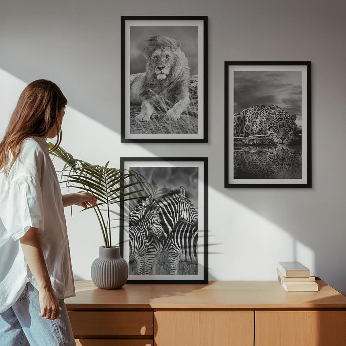 BILDER SET 3er Set - 40x60 cm Schwarzer Rahmen - Wildtiere der Savanne - Schwarz, Kunststoff (40/60cm) - TULUP