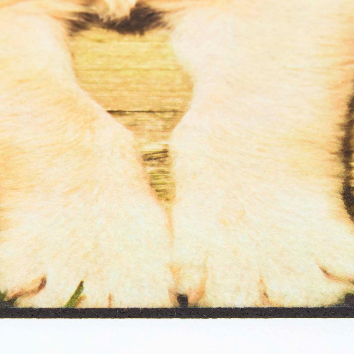 FUSSMATTE Hundewelpen, Gummi 45/76 cm - Multicolor, Naturmaterialien (46/76cm) - Homescapes