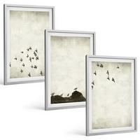 BILDER SET 3er Set - 40x60 cm Silberner Rahmen - Vögel im Flug, minimalistischer Stil - Silberfarben, Kunststoff (40/60cm) - TULUP