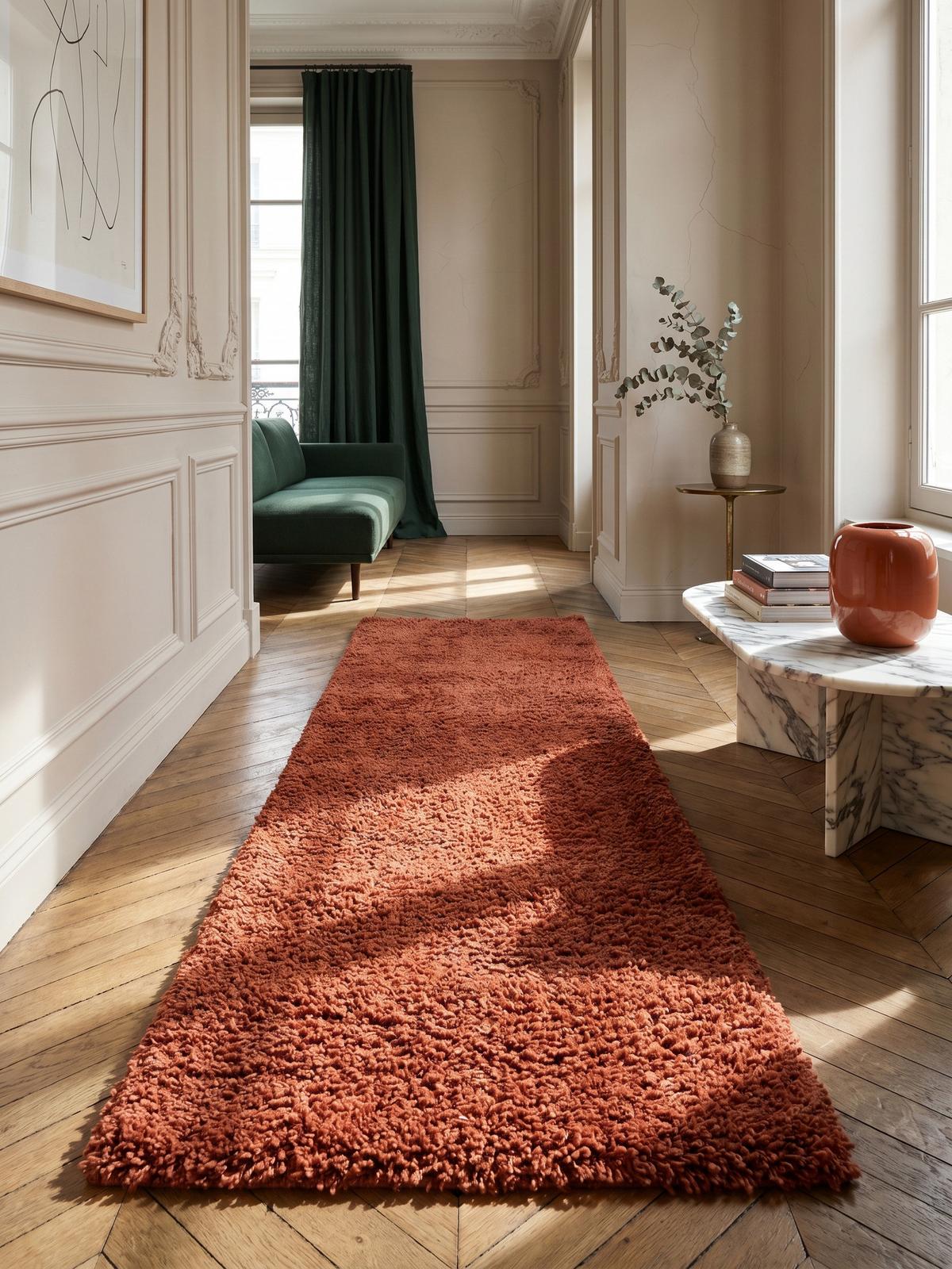 HOCHFLORTEPPICH RHEIN, einfarbig, aus Polypropylen, Terrakotta, 80 x 150 cm - Orange, Textil (150/80cm) - KADIMA DESIGN
