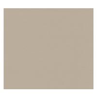 VLIESTAPETE Taupe 53/1005 cm - Taupe, Textil (53/1cm) - KUNSTLOFT