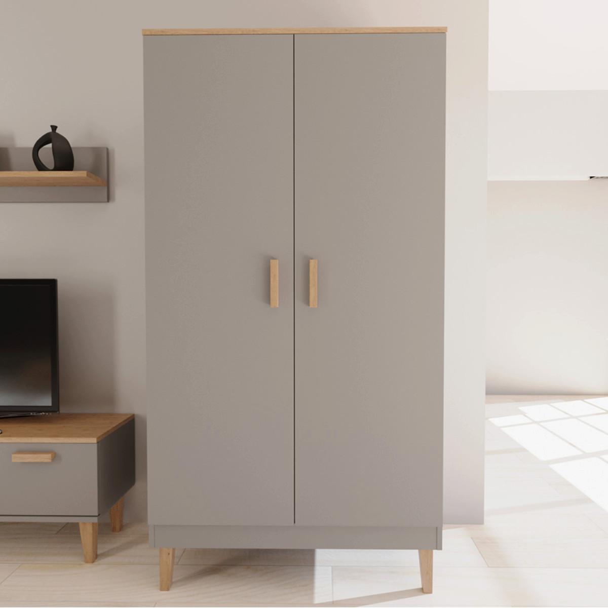 SCHRANK 2 Türen Denver Grau - Grau, Holzwerkstoff (100/184/55cm) - Petits-meubles