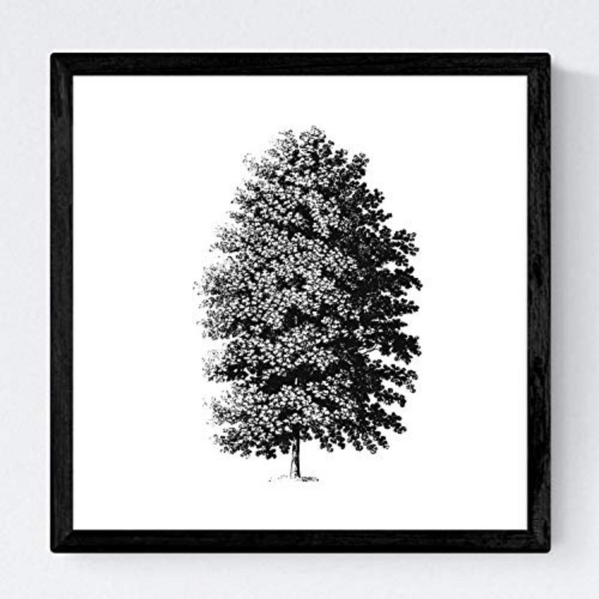POSTER Set mit 4 Blättern der Bäume sehr fondosos, weiß 20x20cm Schwarzer Rahmen - Schwarz, Papier (20/3cm) - Nacnic