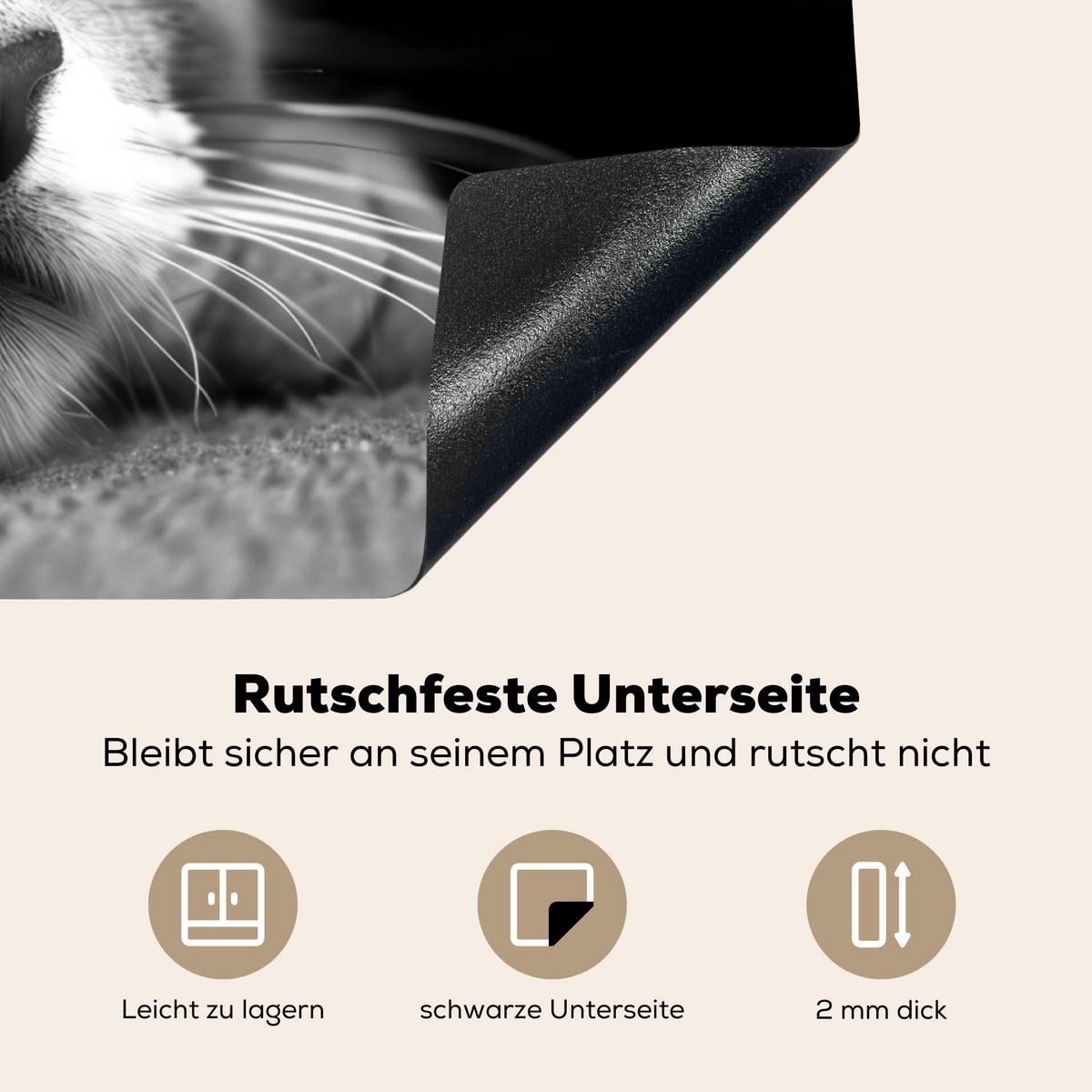 HERDABDECKPLATTE Katze - Grau - Tiere - Katze Induktionsmatte 83x51 cm - Grau, Kunststoff (83/51.5/0.2cm) - MuchoWow
