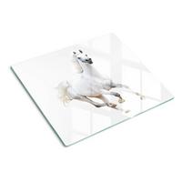 GLASPLATTE 60x52 cm Arabisches Pferd - Weiß, Glas (60/52cm) - TULUP