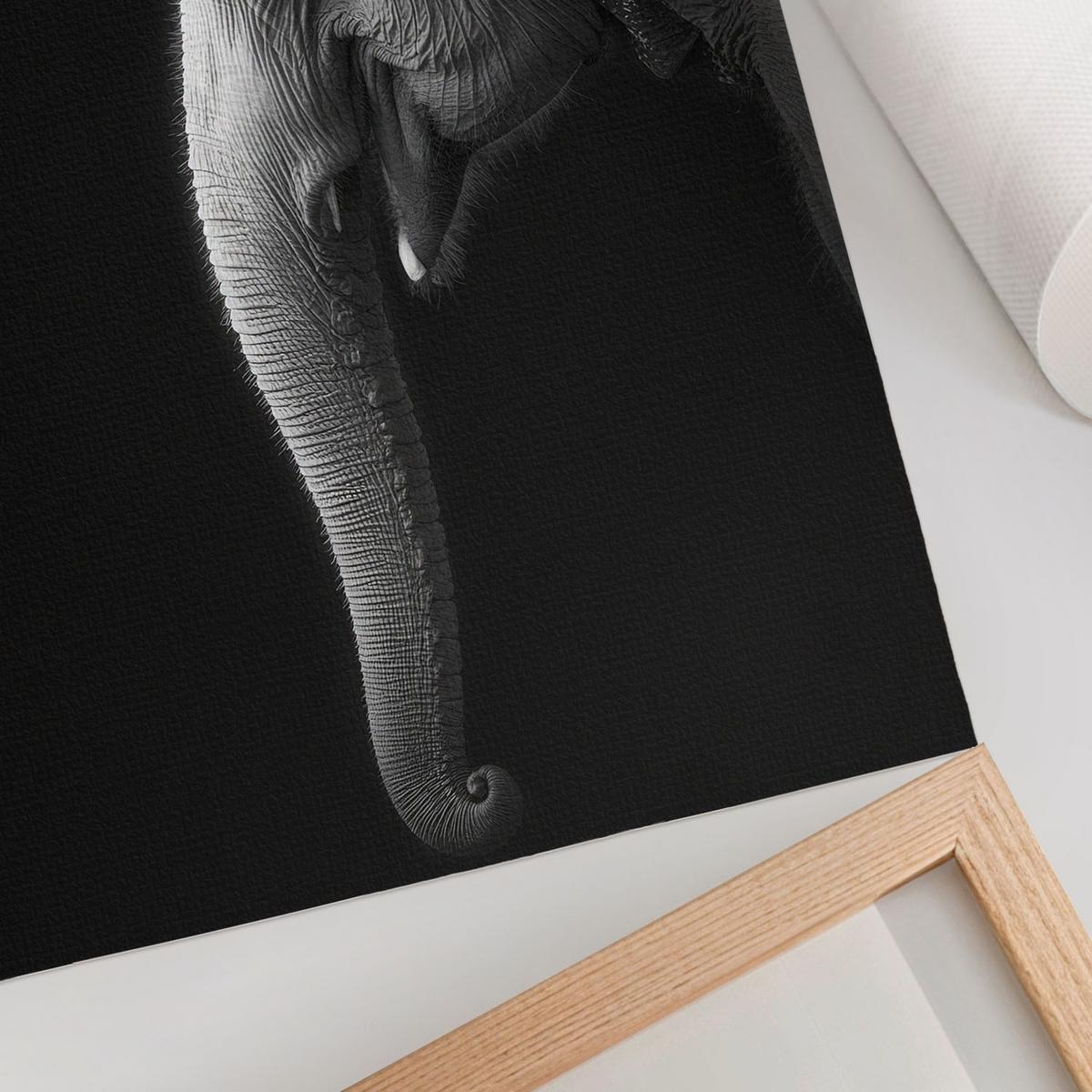 POSTER - 21x29 cm - Visual Echo - Profil eines Elefanten - Weiß, Textil (21/29.7/0.1cm) - TULUP