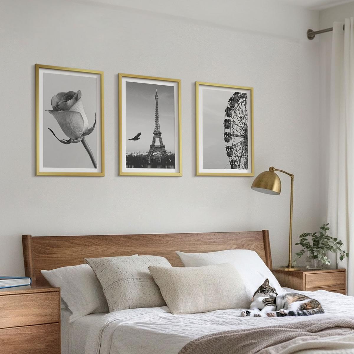 BILDER SET 3er Set - 40x60 cm Goldrahmen - Rose Eiffelturm Riesenrad - Goldfarben, Kunststoff (40/60cm) - TULUP