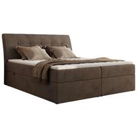 BOXBETT DAGOS 160/200 - Braun Velvet - H4 - Topper T25 - Braun, Textil (160/200cm) - MKS
