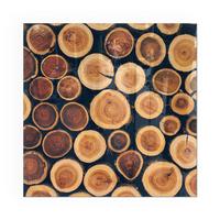 GLASPLATTE für Kamin 50x50 cm - Braun, Glas (50/50/0.4cm) - TULUP