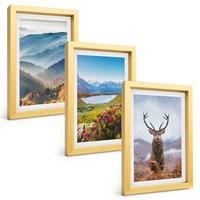 BILDER SET 3er Set - 20x30 cm Goldrahmen - Natur des Bergseehirsches - Goldfarben, Kunststoff (20/30cm) - TULUP