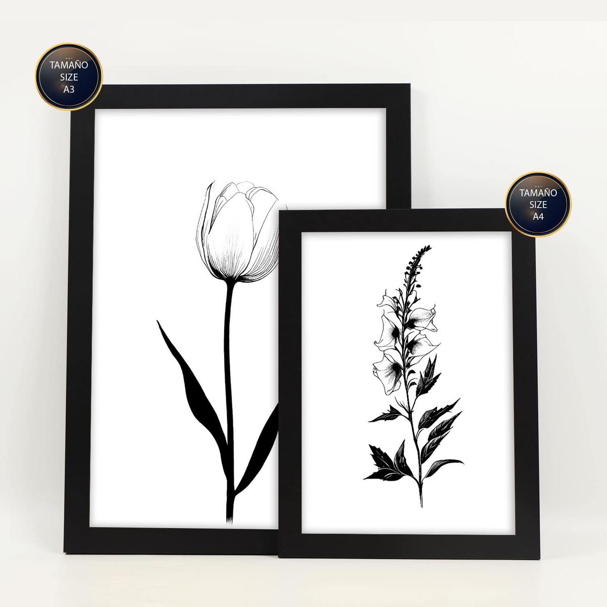 POSTER Set Mit 6 Kleine Blumen Natur Und Botanikdrucke Mit Blumenmotiven In Klassischem Schwarz Und Weiß Innenarchitektur A3 & A4 Schwarzer Rahmen - Schwarz, Papier (29/3cm) - Nacnic