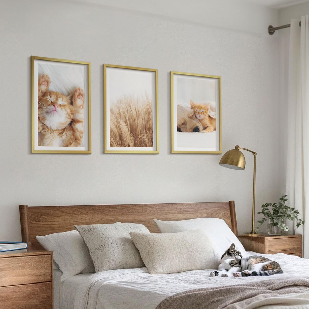 BILDER SET 3er Set - 40x60 cm Goldrahmen - Niedliche Tiere, Katzen, Hunde, Boho-Stil - Goldfarben, Kunststoff (40/60cm) - TULUP